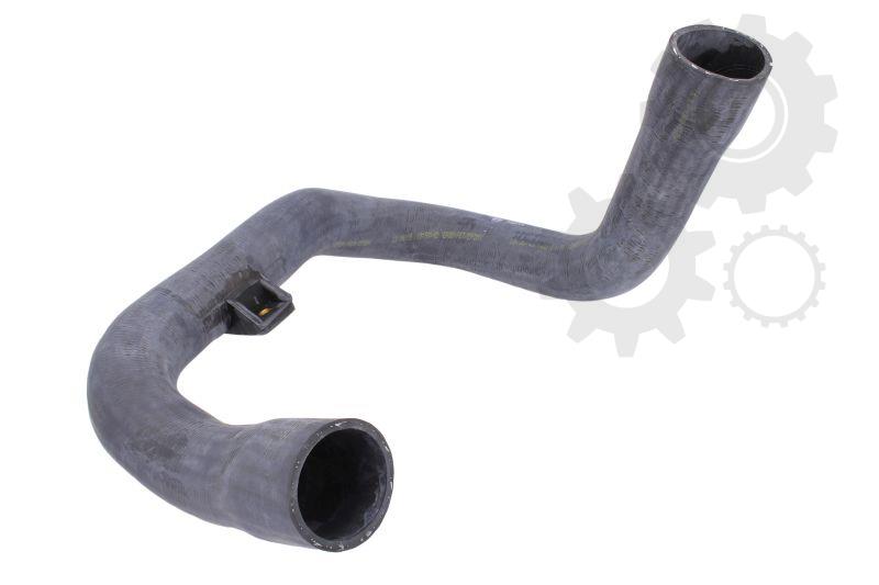Furtun racire cu suport Daf CF 8x4