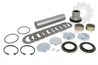 Kit reparatie pivot punte fata Man TGA,TGX